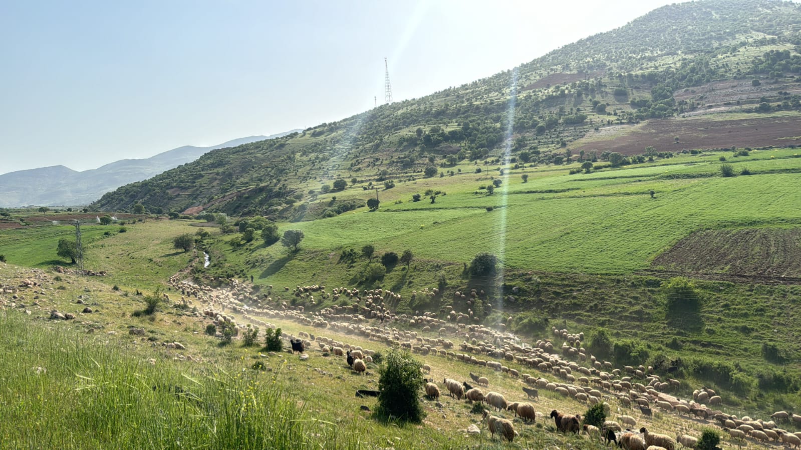 Galeri görseli 19