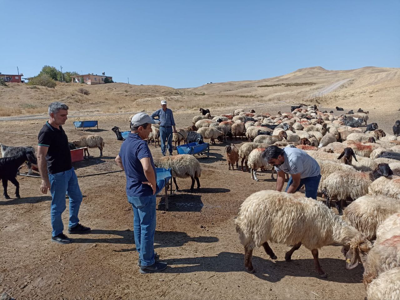 Galeri görseli 7